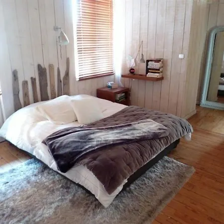 House - 15 *